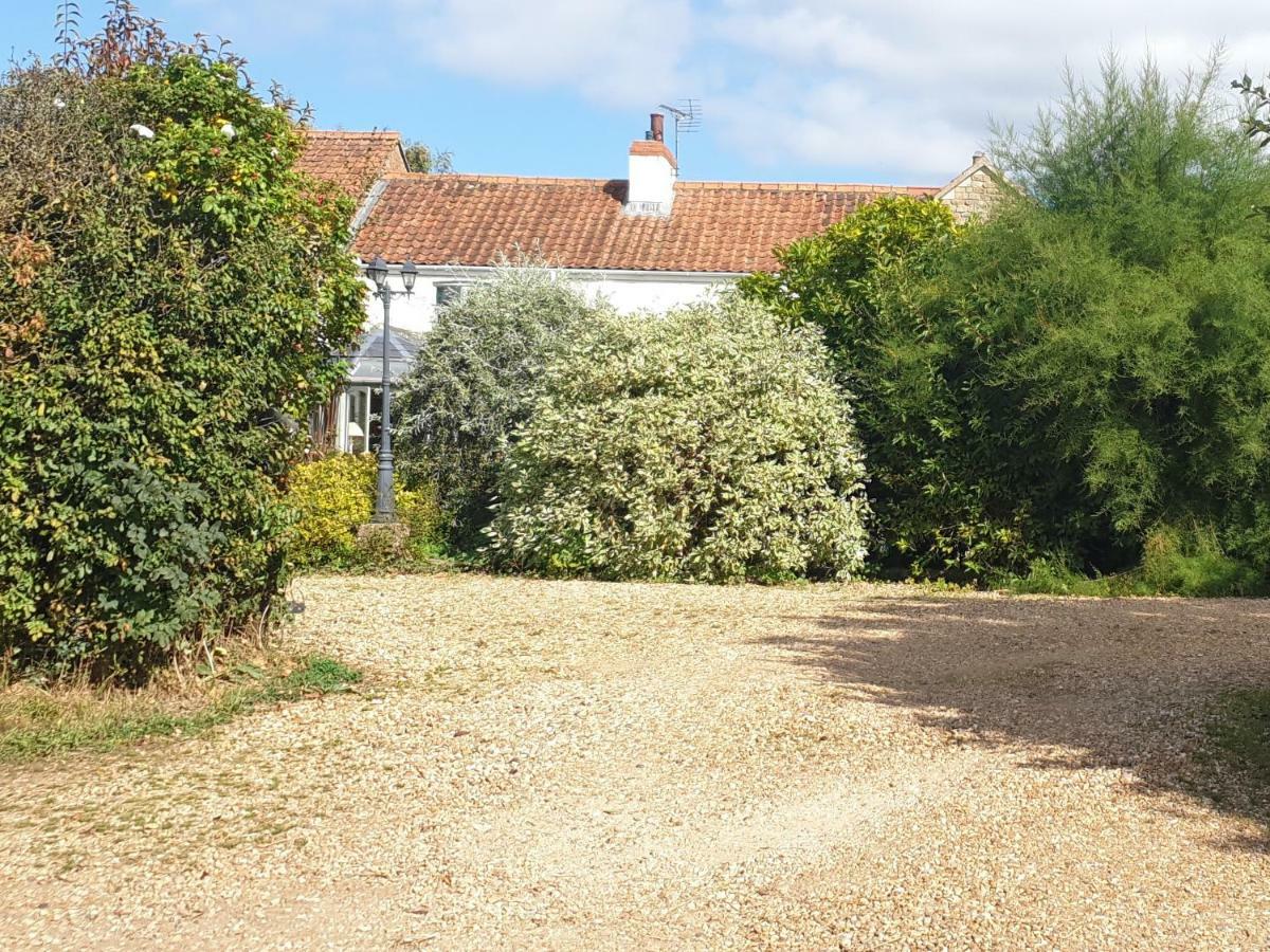 The Nest At Bramble Cottage Lacock Esterno foto